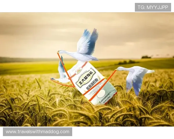 博欧特抗体官网网页版最新动态与产品更新信息