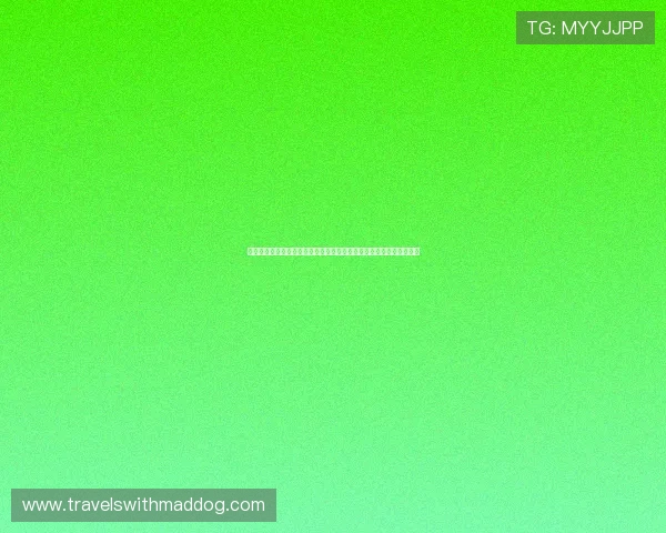 博雅游戏官方网站优化用户界面提升操作体验打造更加便捷的游戏环境 博雅游戏官方网站优化用户界面提升操作体验打造更加便捷的游戏环境